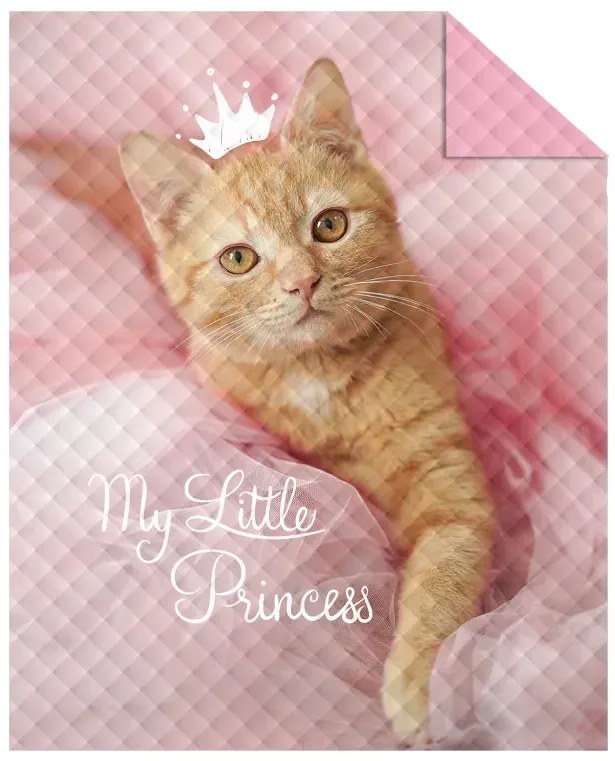 Detský prehoz My Little Princess Šírka: 170 cm | Dĺžka: 210 cm