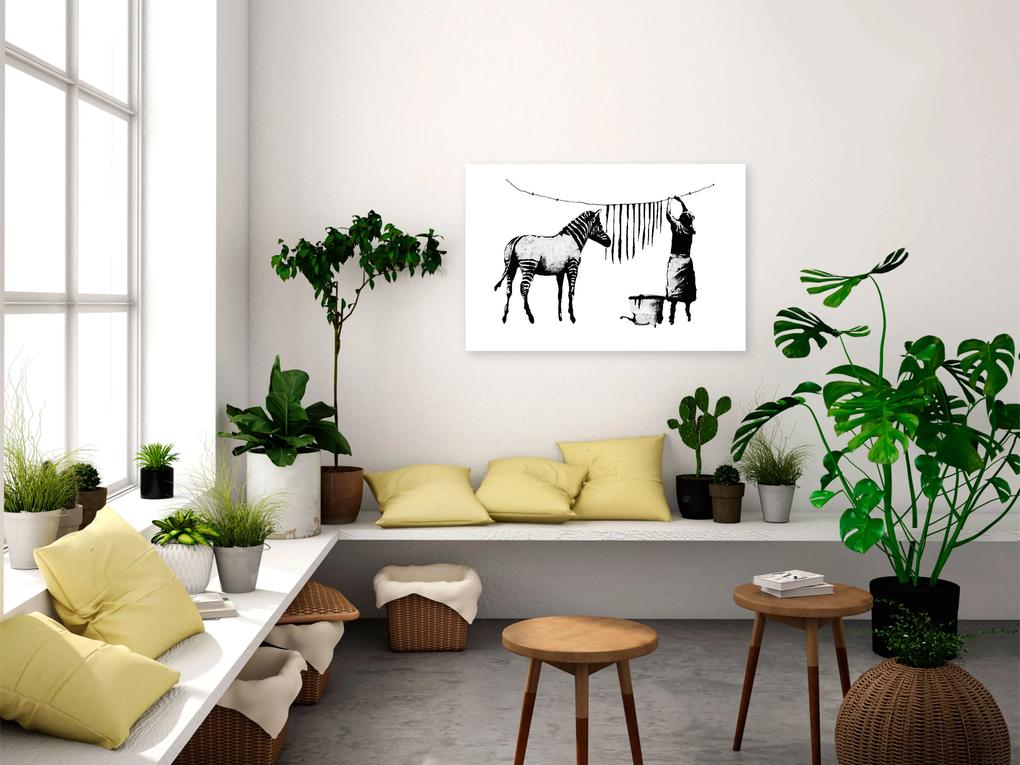 Artgeist Obraz - Banksy: Washing Zebra (1 Part) Wide Veľkosť: 120x80, Verzia: Premium Print