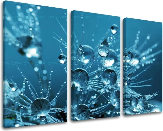 Obraz na stenu 3 dielny KVETY KV101E30 - 60x40 cm