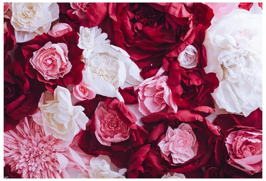 Fototapeta Vliesová Papierové ruže 312x219 cm