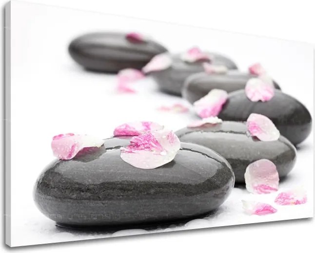 Obraz na stenu FENG SHUI