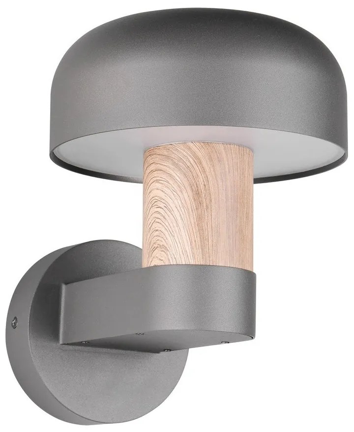 Nástenné vonkajšie svietidlo (výška 24,5 cm) Fraser – Trio