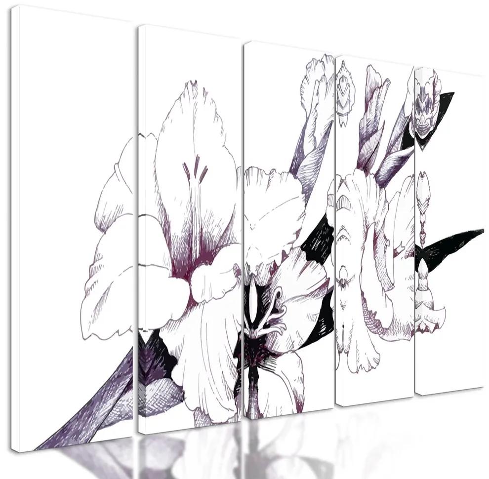5-dielny obraz minimalistické zobrazenie gladioly