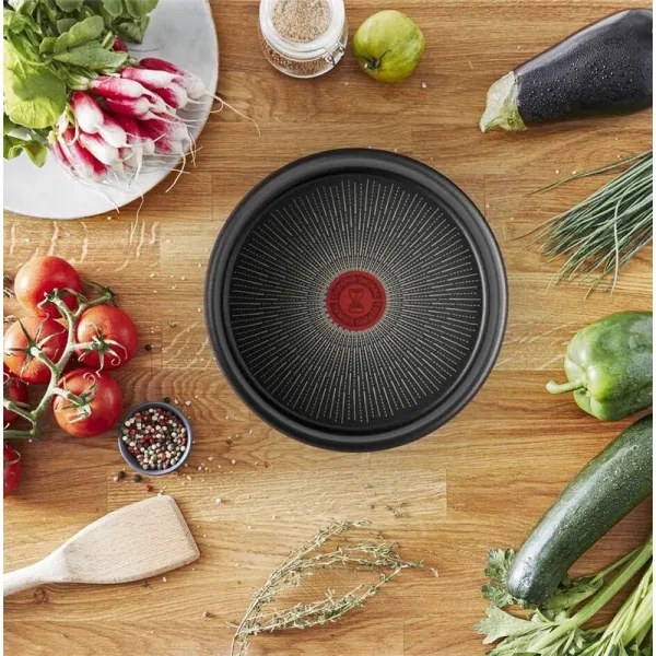 Tefal - Panvica INGENIO Unlimited 24 cm