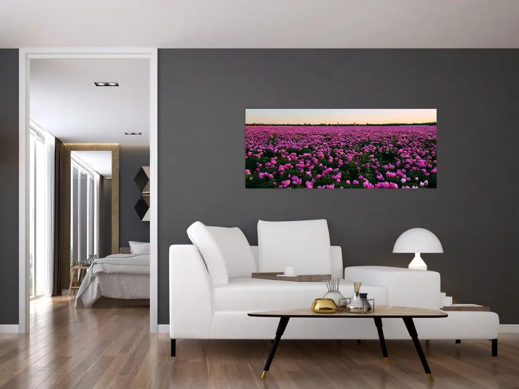 Obraz - Lúka fialových tulipánov (120x50 cm)