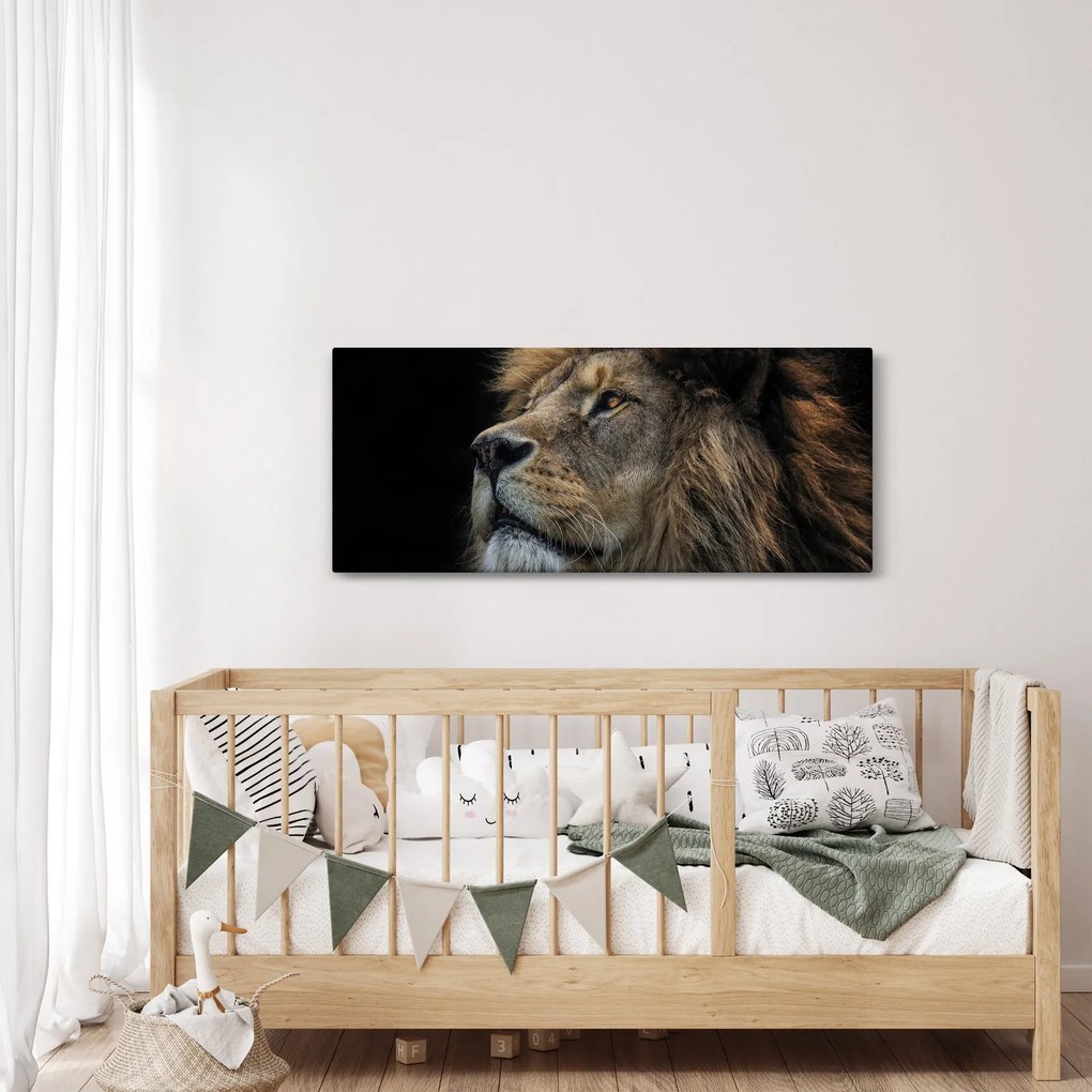 Obraz - Majestátny lev (120x50 cm)