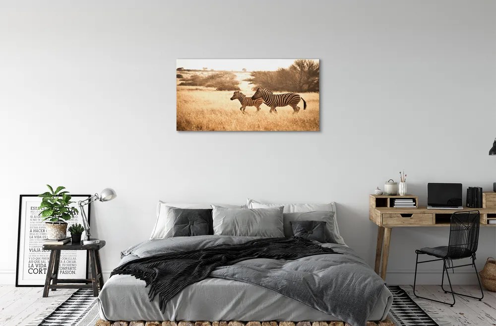 Obraz na plátne Zebra poľa sunset 120x60 cm