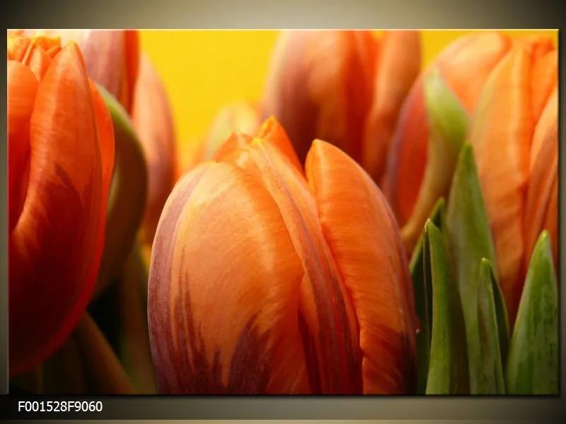 Obraz na plátne Oranžové tulipány 3, Obdĺžnik 90x60cm 60,8 €