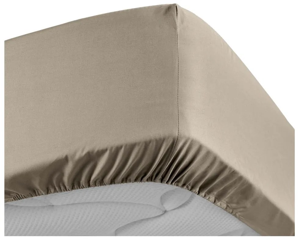 Svetlohnedá napínacia plachta z bavlneného perkálu 180x200 cm Percaline – douceur d'intérieur