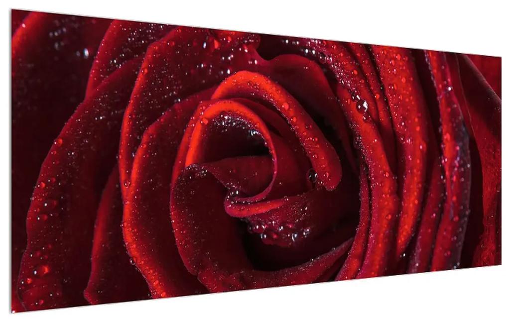 Obraz červenej ruže (120x50 cm)