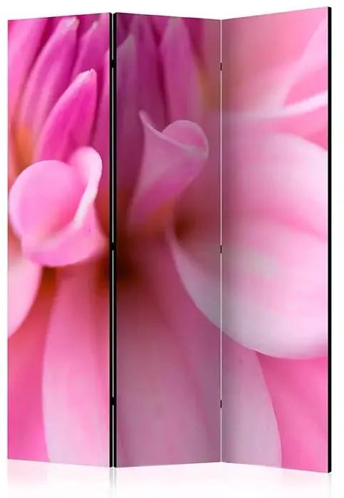Paraván - Flower petals - dahlia [Room Dividers] Veľkosť: 135x172, Verzia: Obojstranný