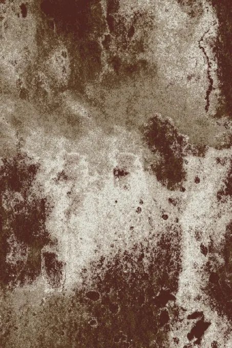 Koberec FD LIDA Conk hnedý