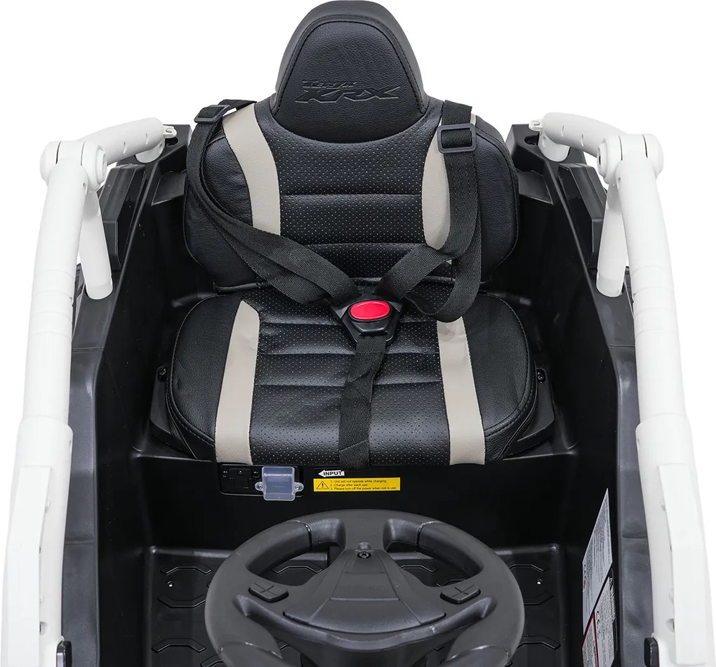 Ramiz Buggy Kawasaki TERYX KRX1000 sivé