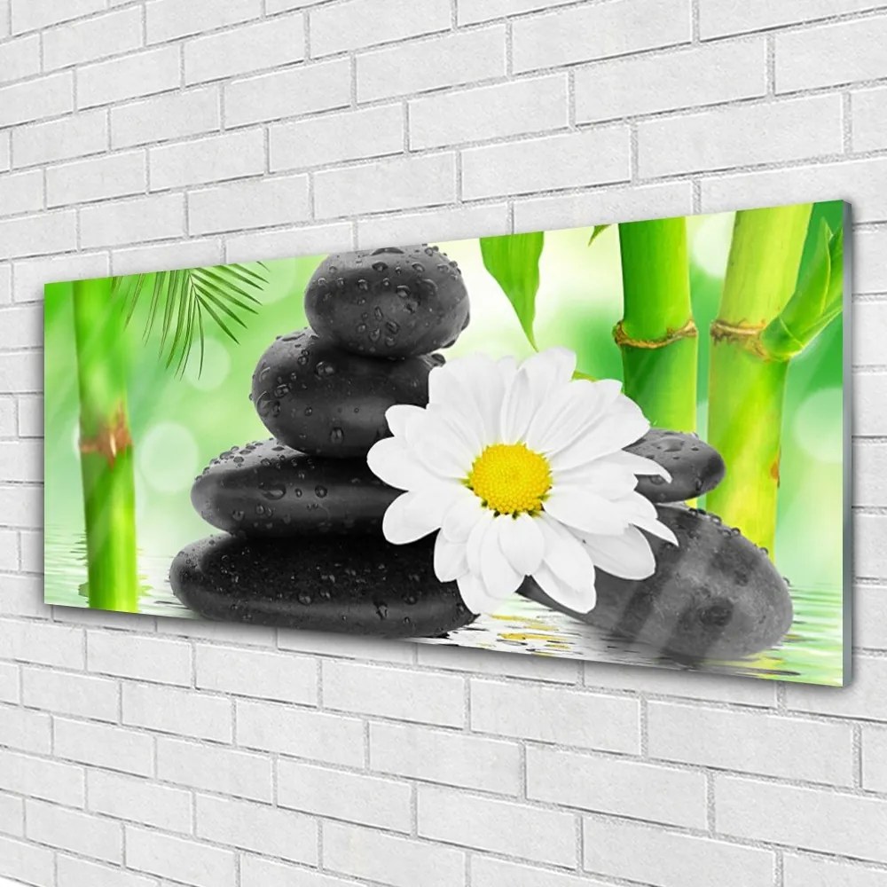 Obraz plexi Bambus kamene zen kvet 125x50 cm