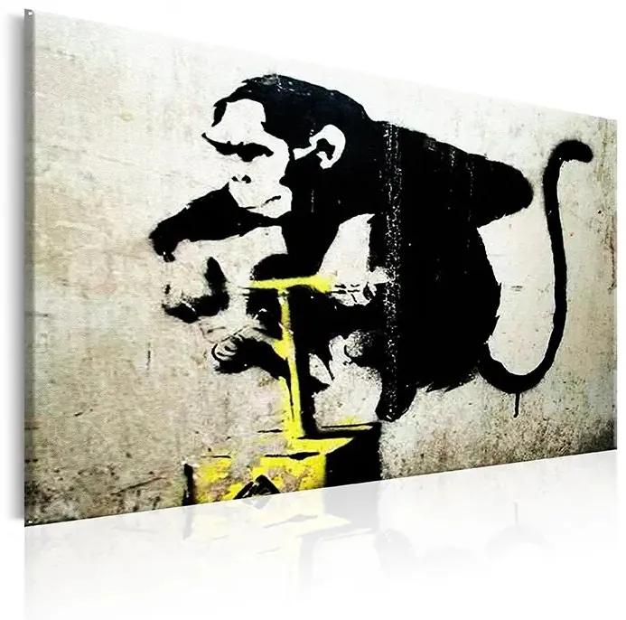 Obraz - Monkey Detonator by Banksy Veľkosť: 30x20, Verzia: Na talianskom plátne