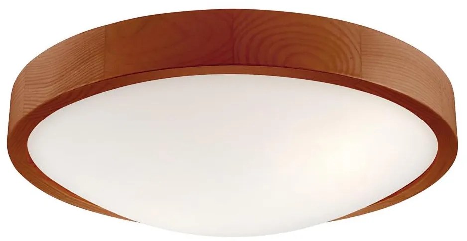 Stropné svietidlo MEDA 2xE27/60W/230V