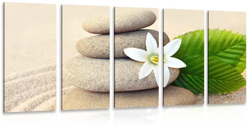 5-dielny obraz biely kvet a kamene v piesku Varianta: 100x50