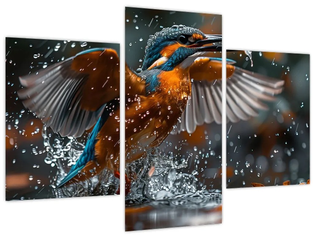 Obraz - Včelojedi (90x60 cm)