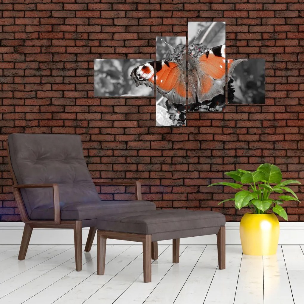 Oranžový motýľ - obraz