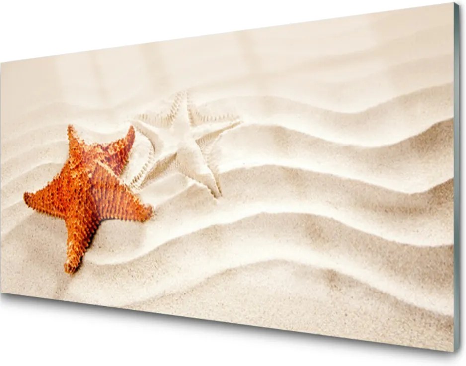 Skleněný obraz Hvězdice na písku pláž