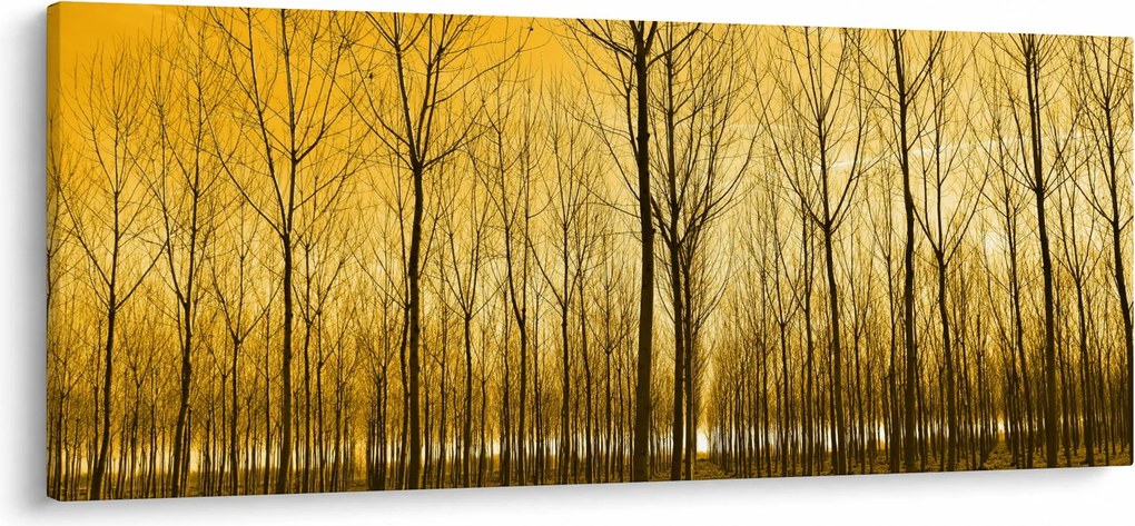 Obraz - Plantáž stromov (120x50 cm)