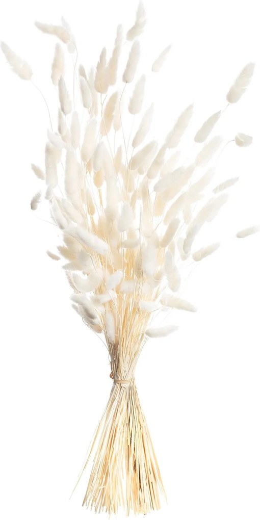 Kytica fúkačiek 60cm cream