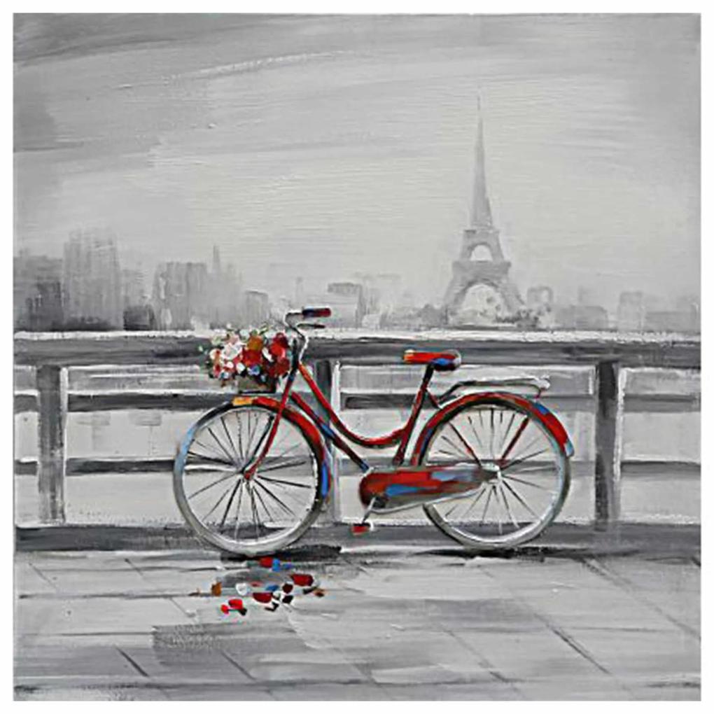 Obraz maľovaný na plátno 800x35x800 Parisian Bicycle