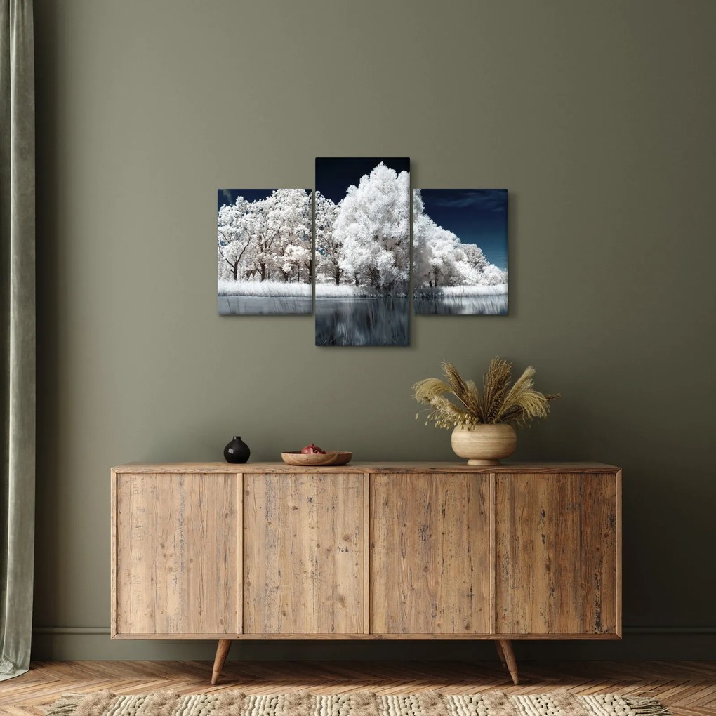 Obraz - Snehobiele stromy (90x60 cm)
