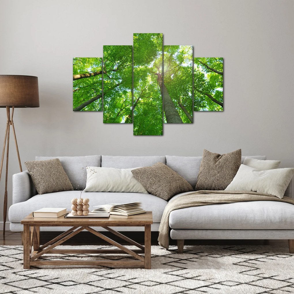 Obraz - Les (150x105 cm)
