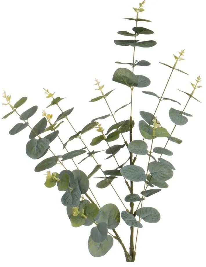 Umelý eukalyptus 4 ks (výška 85 cm) – Casa Selección