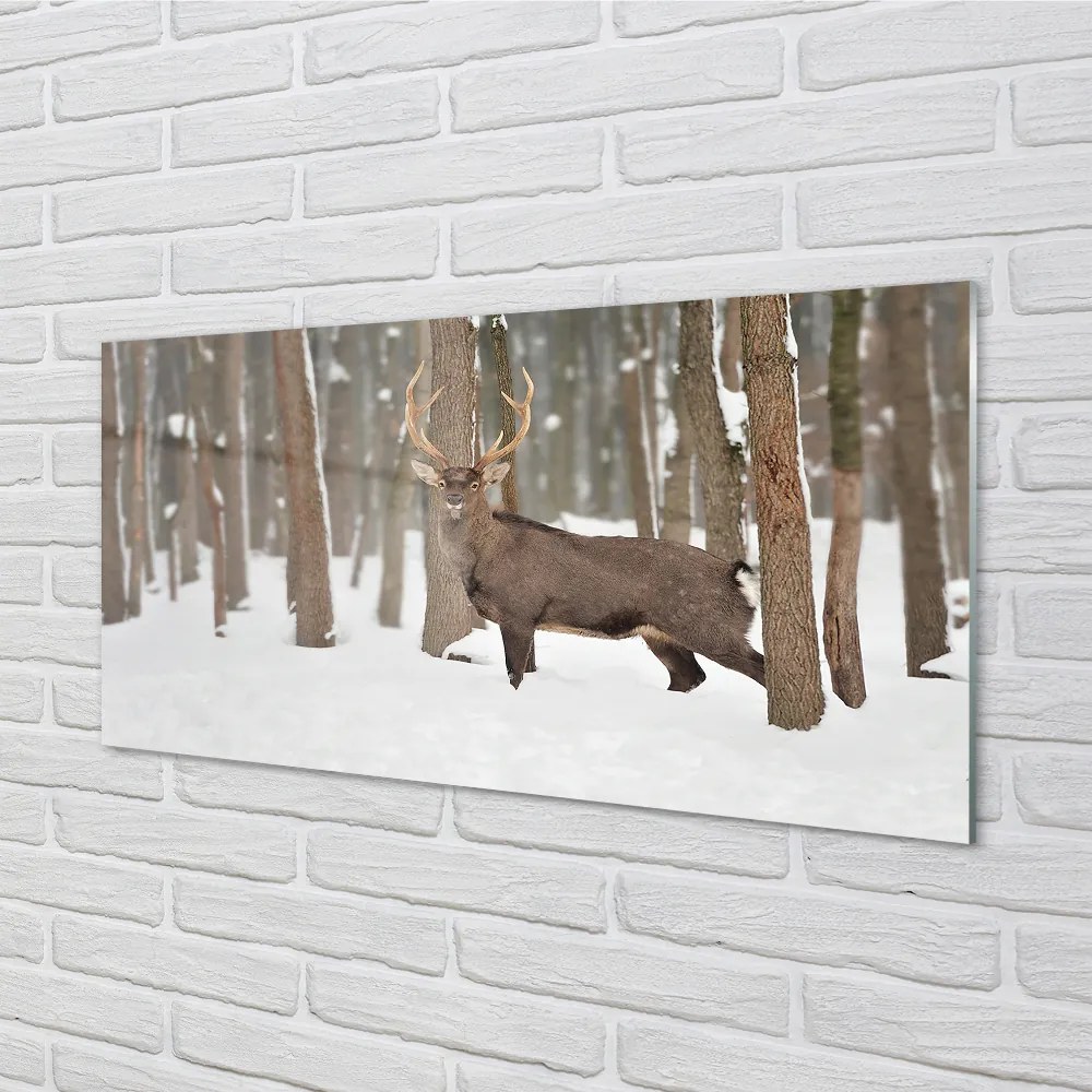 Nástenný panel  Jeleň zimné les 140x70 cm