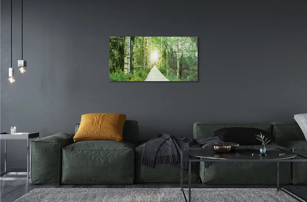 Sklenený obraz Breza lesná cesta 125x50 cm