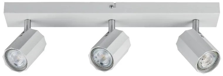 Livarno home Stropné svietidlo (lištové svietidlo, matná biela)  (100393031)