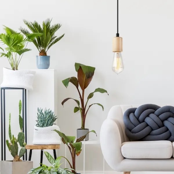 Luster na lane LEON 1xE27/60W/230V