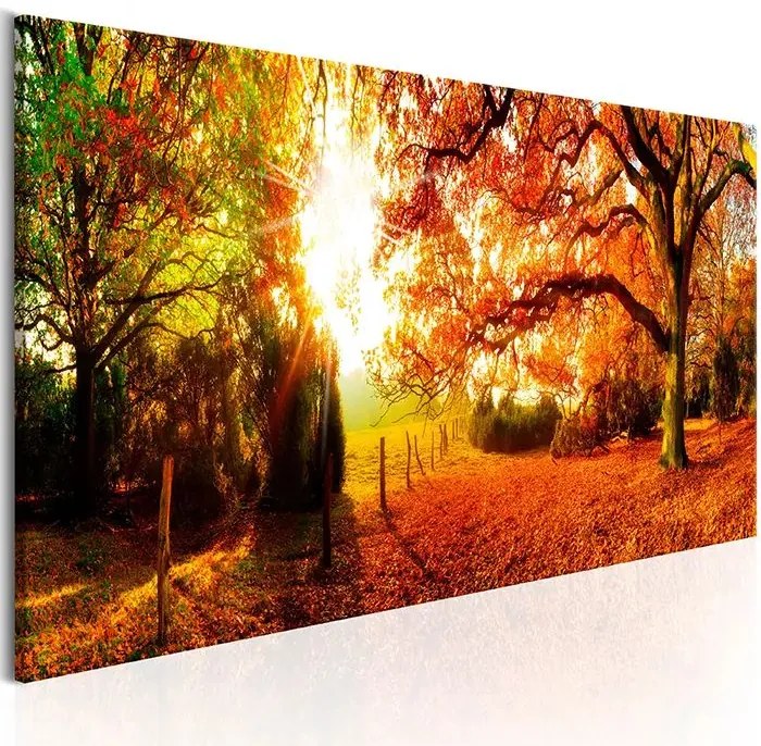 Obraz - Magic of Autumn Veľkosť: 120x40, Verzia: Na talianskom plátne