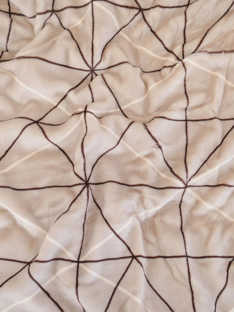 Obliečka na vankúš mikroplyš Exclusive 50 × 70 cm - Sebastian béžová