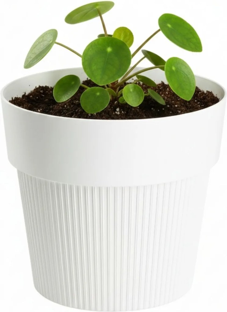 Květináč Silva Line 11,5x13,2 cm krémový