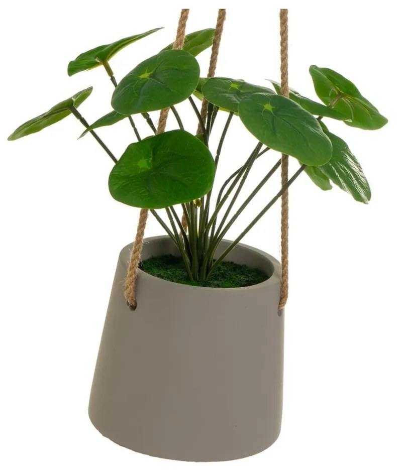 Umelá rastlina (výška 24 cm) Pilea – Casa Selección