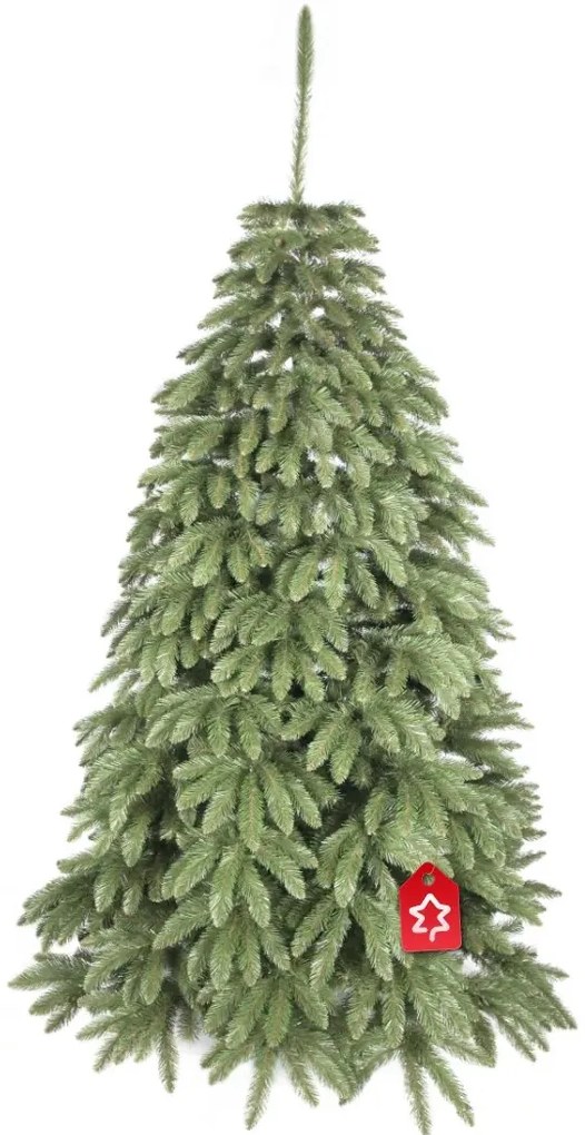 Smrek Kaukazský 2D 220 cm