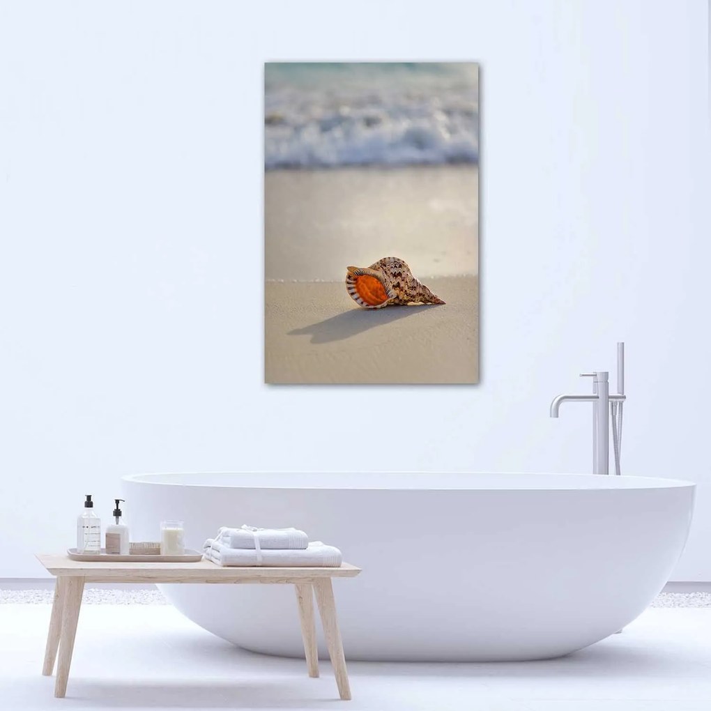 Gario Plagát Mušle na pláži Farba rámu: Bez rámu, Rozmery: 40 x 60 cm