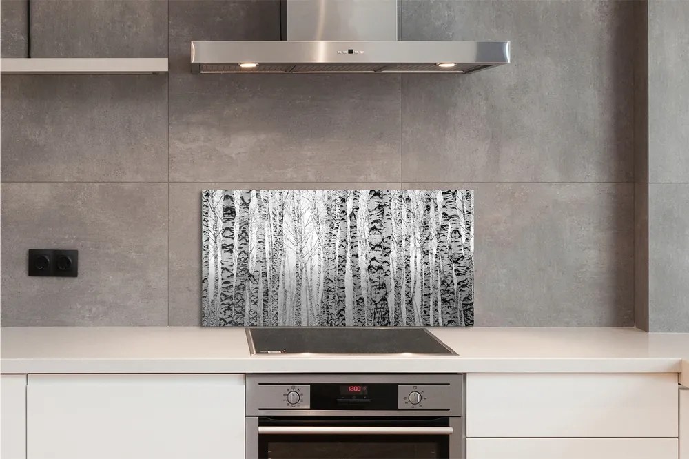 Nástenný panel  Čierna a biela breza 125x50 cm