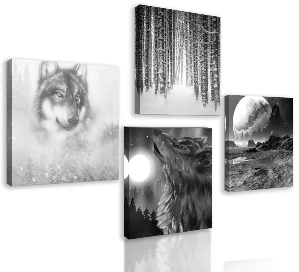 Set obrazov nádherný vlk