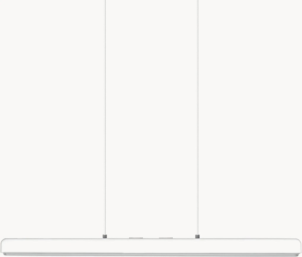 Závesné svietidlo Hazel Branch