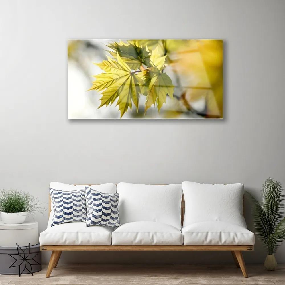 Obraz na skle Listy rastlina 100x50 cm