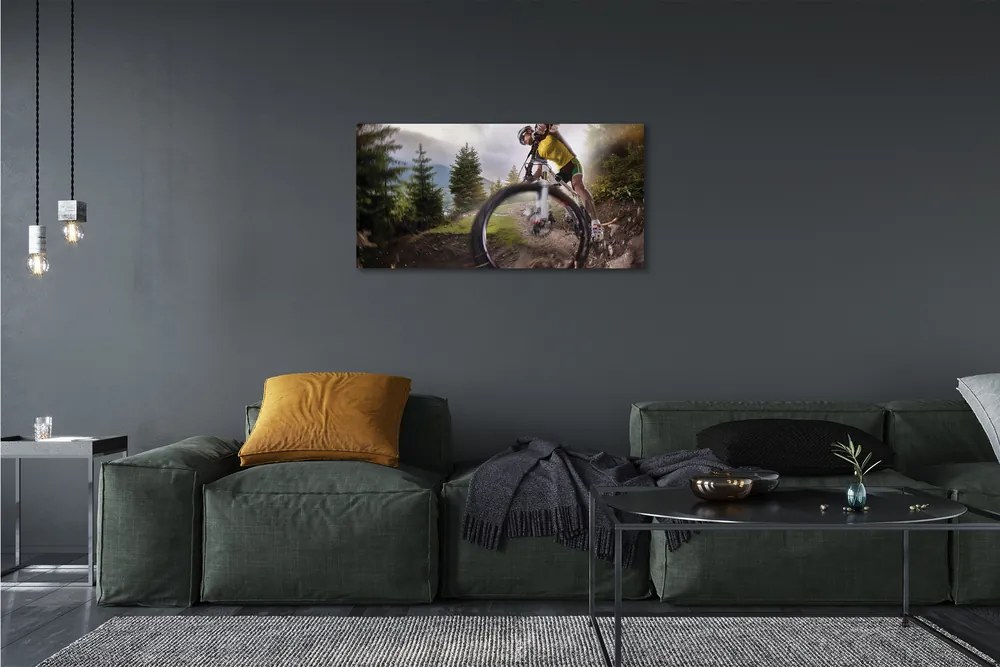 Obraz canvas Cloud na horskom bicykli 125x50 cm