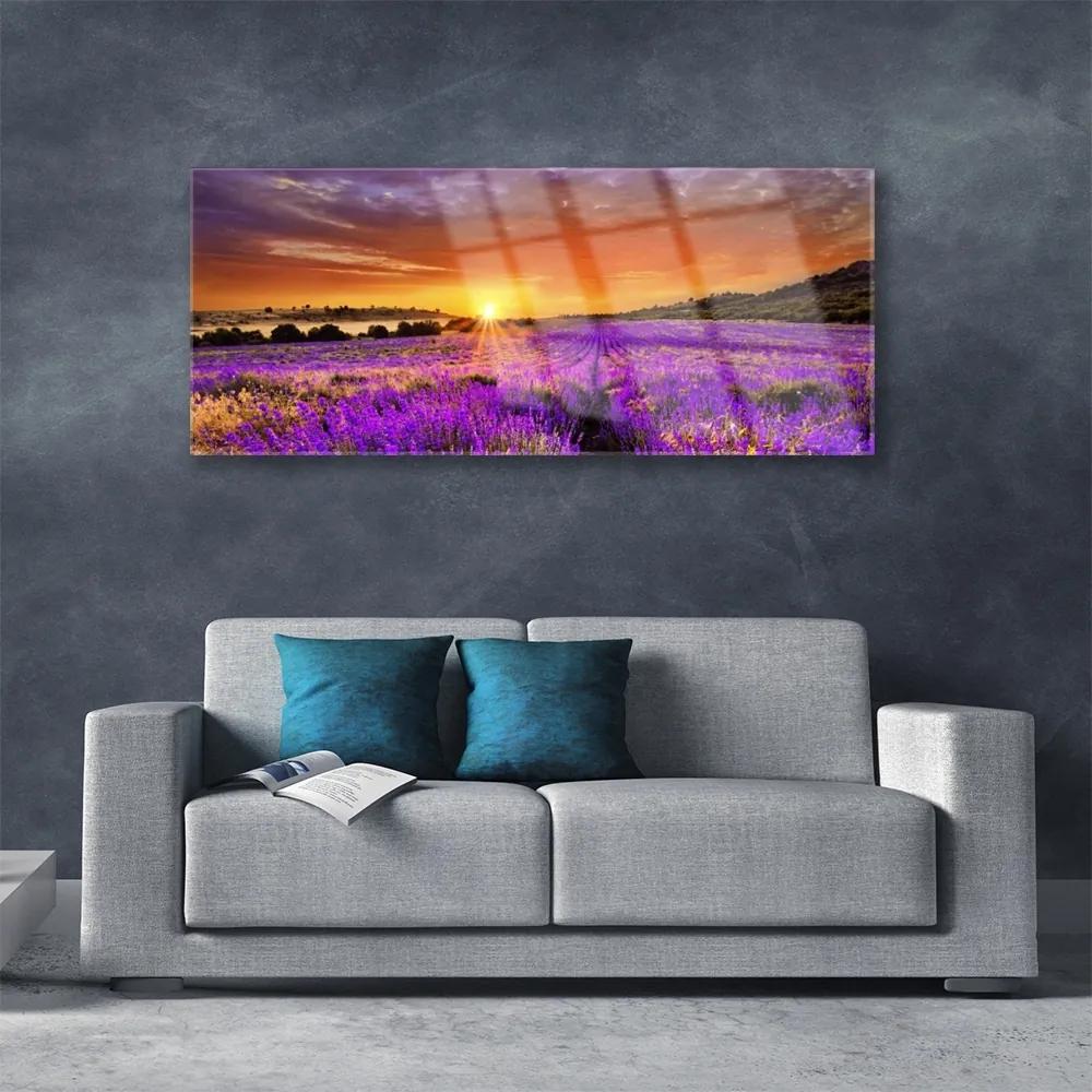 Obraz plexi Západ slnka pole levanduľa 125x50 cm