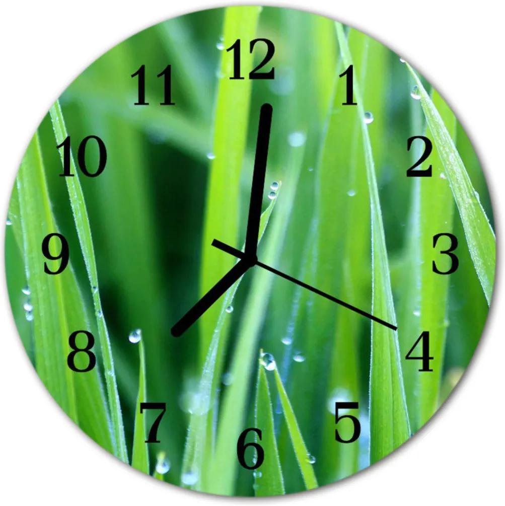 Nástenné sklenené hodiny  Rosa na tráve