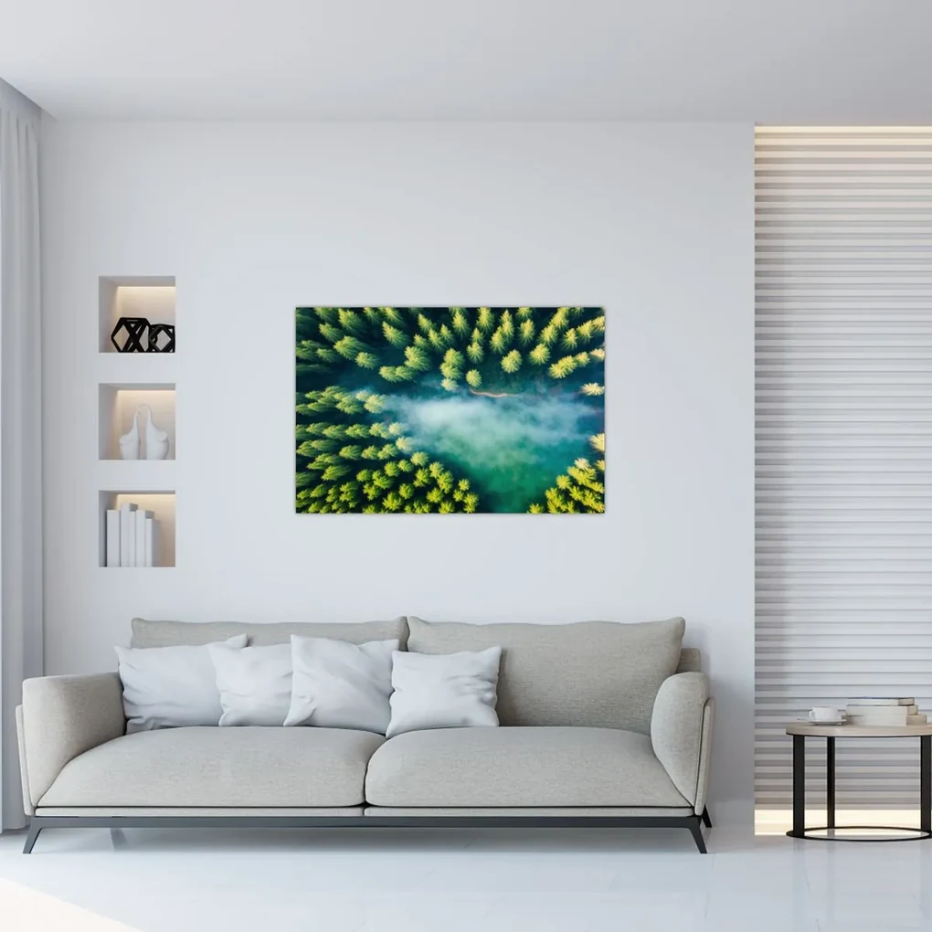 Obraz - Hmlou zahalený les (90x60 cm)