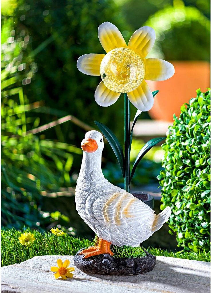 Solárne svetlo Husa