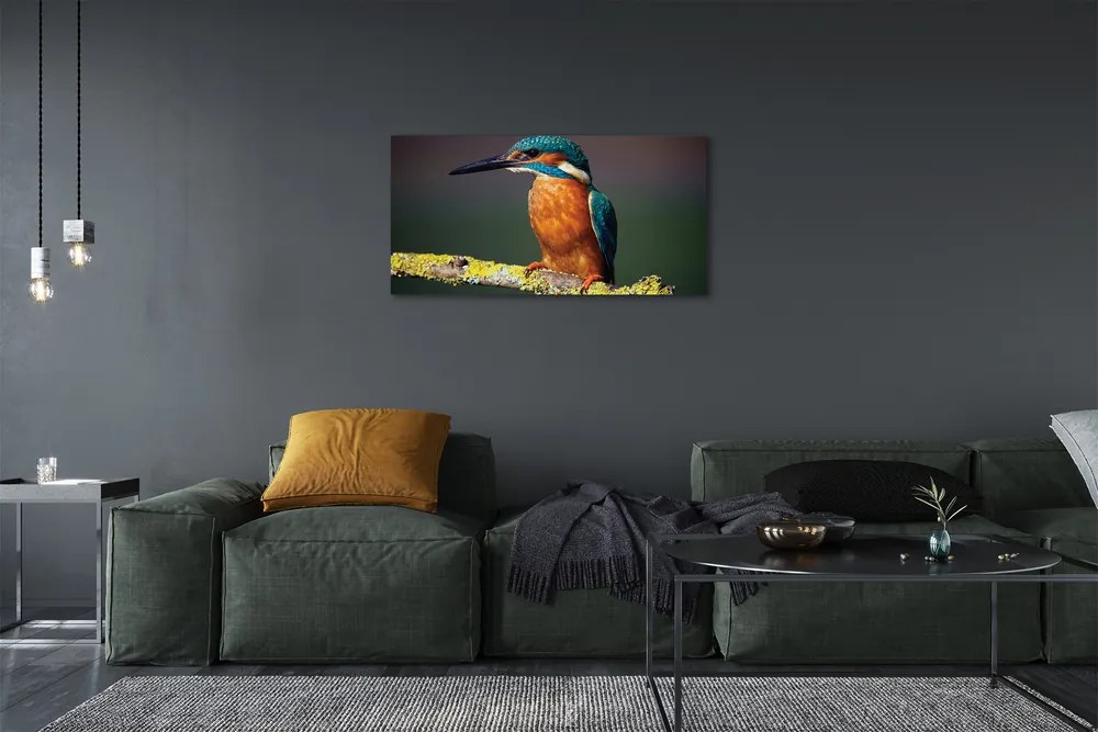 Obraz na plátne Farebný vták na vetve 140x70 cm